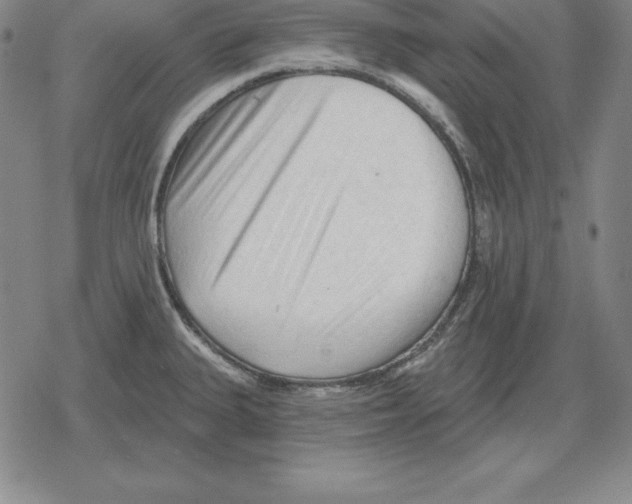 X0000079331335200612151833
