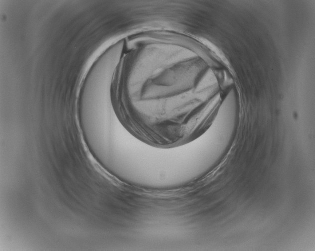X0000079331342200612151833