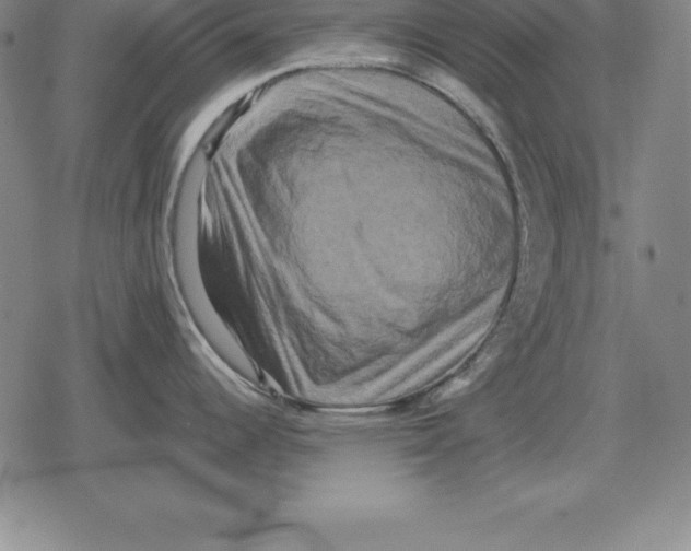 X0000079331344200612151833