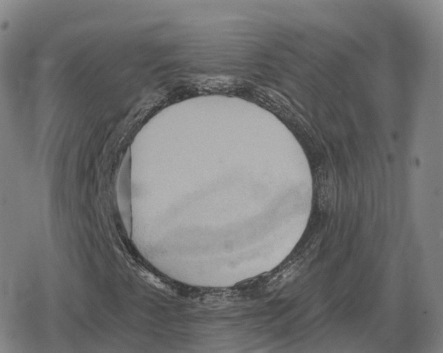 X0000079331345200612151832