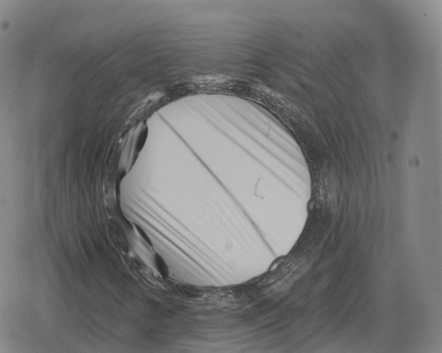 X0000079331346200612151832
