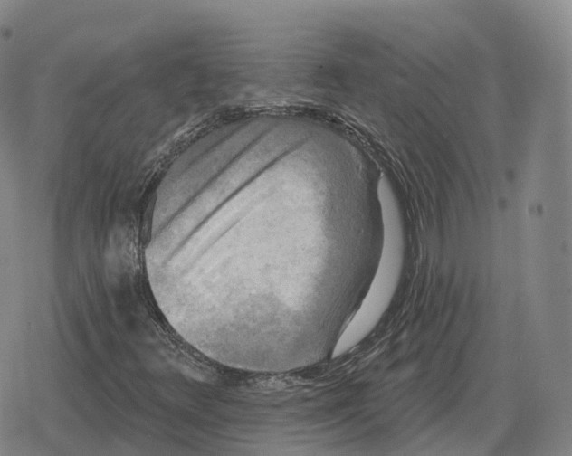 X0000079331348200612151832