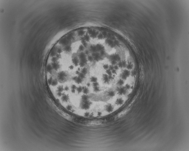 X0000079331367200612151832