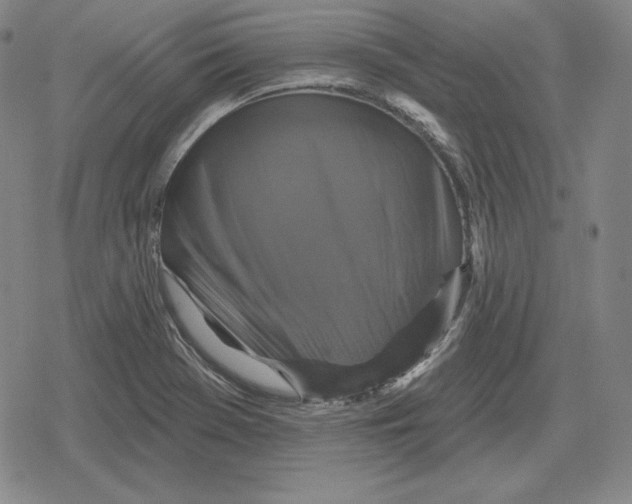 X0000079331369200612151832