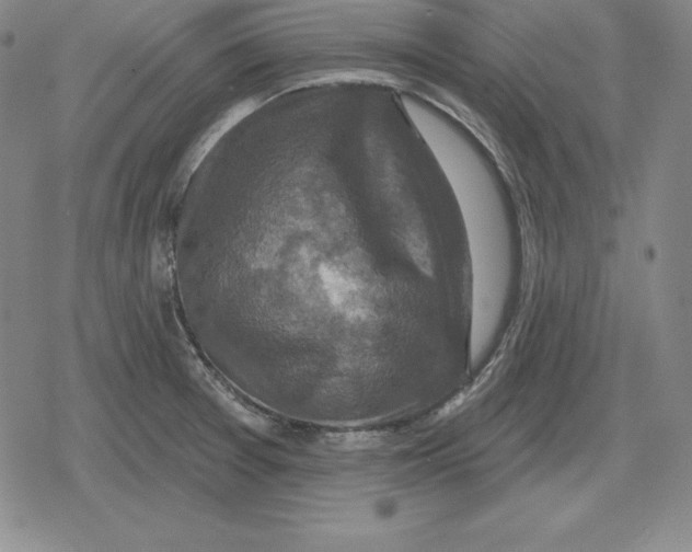X0000079331377200612151831