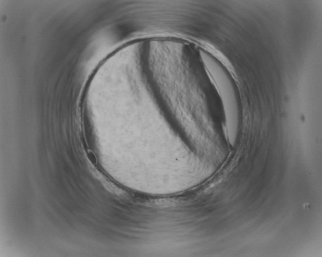 X0000079331380200612151831