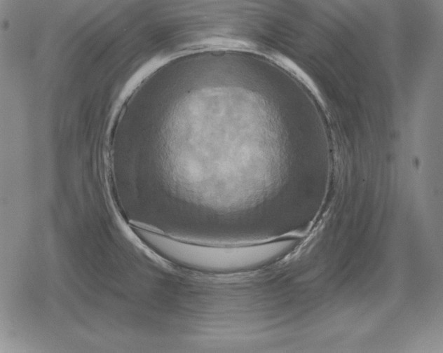 X0000079331381200612151831