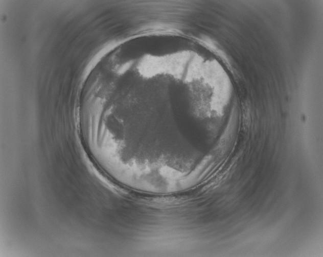 X0000079331383200612151831