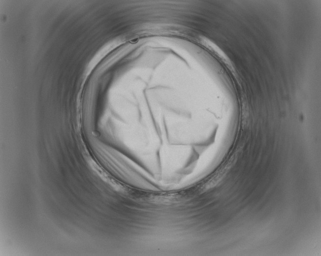 X0000079331386200612151831