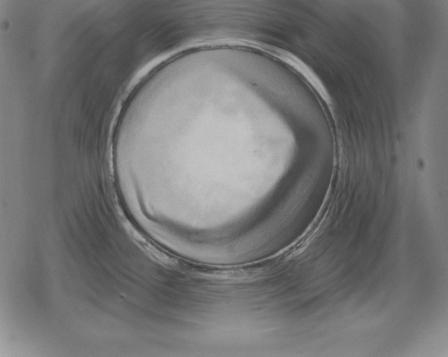 X0000079331388200612151831