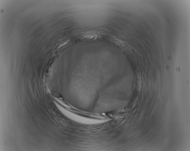 X0000079331394200612151830