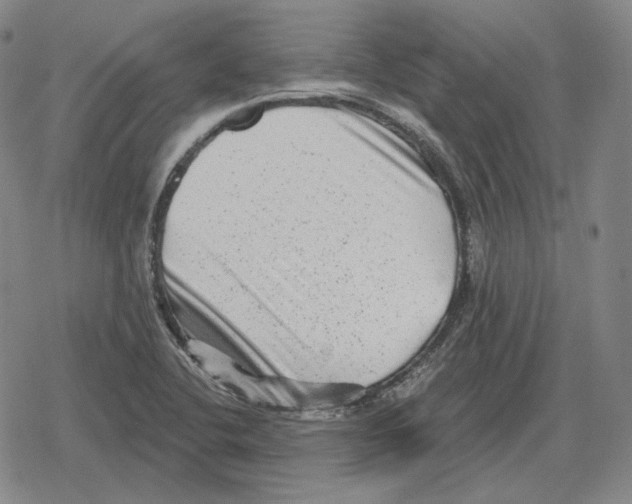 X0000079331412200612151831