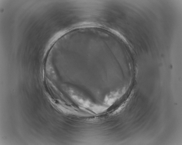 X0000079331413200612151831