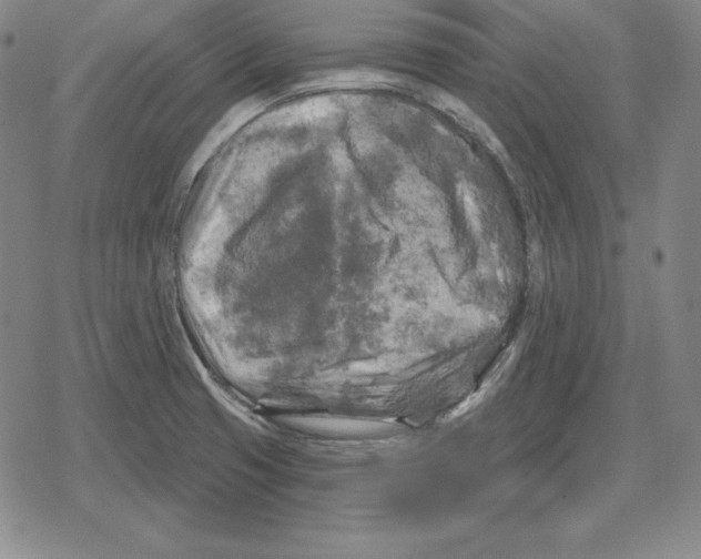X0000079331425200612151831