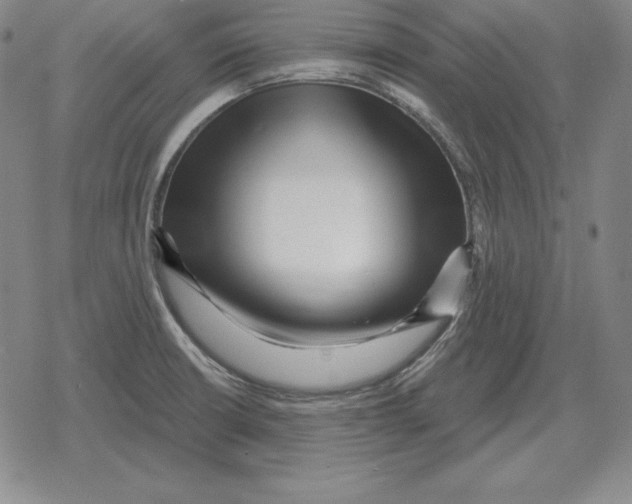 X0000079331426200612151831