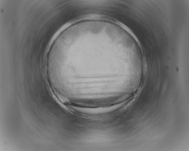 X0000079331437200612151831