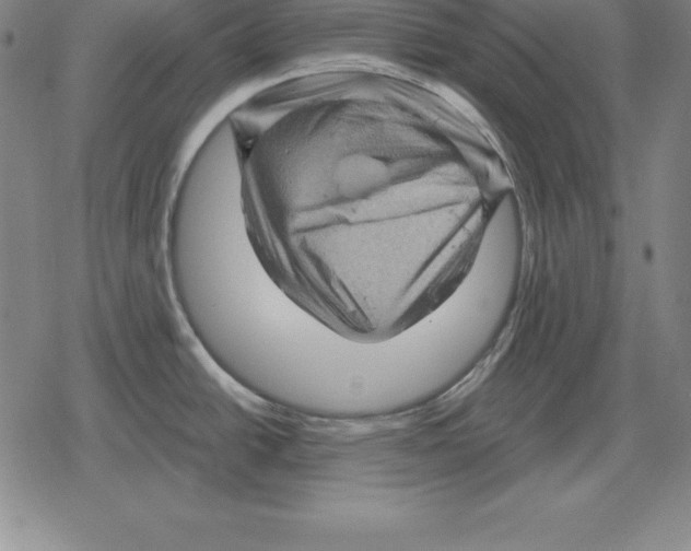 X0000079331438200612151831