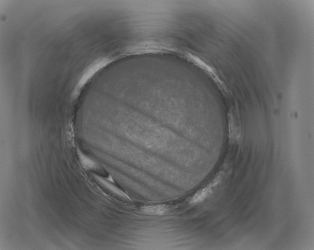 X0000079331453200612151830