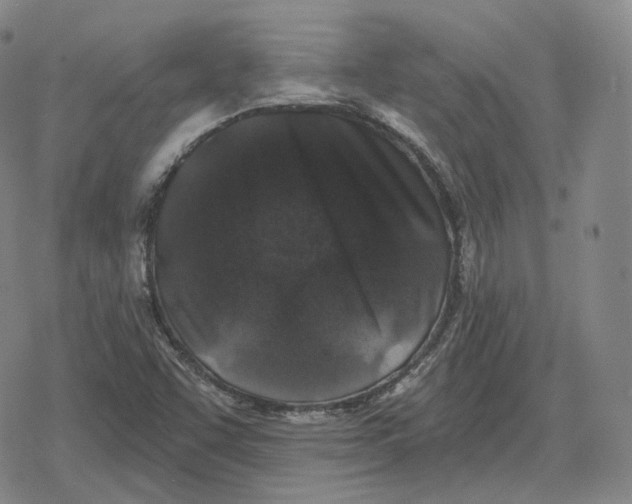 X0000079331455200612151830