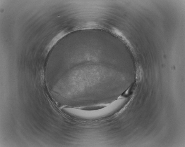 X0000079331457200612151830