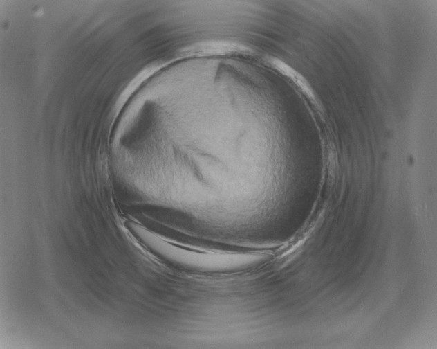 X0000079331473200612151830
