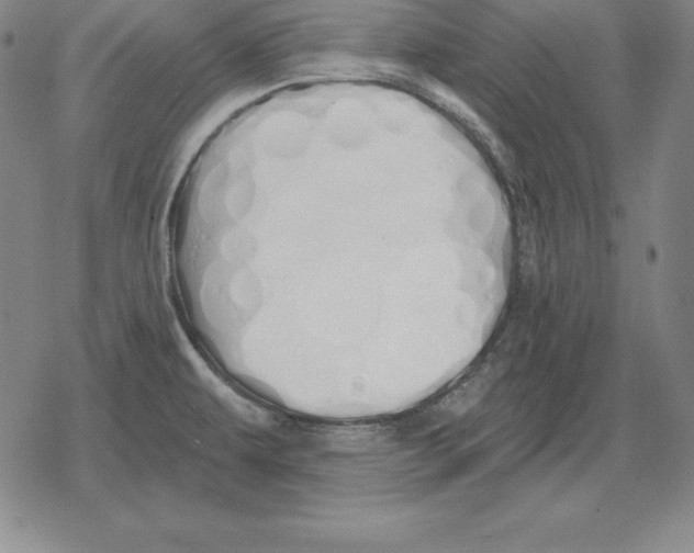 X0000079331479200612151830