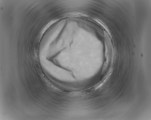 X0000079331481200612151830