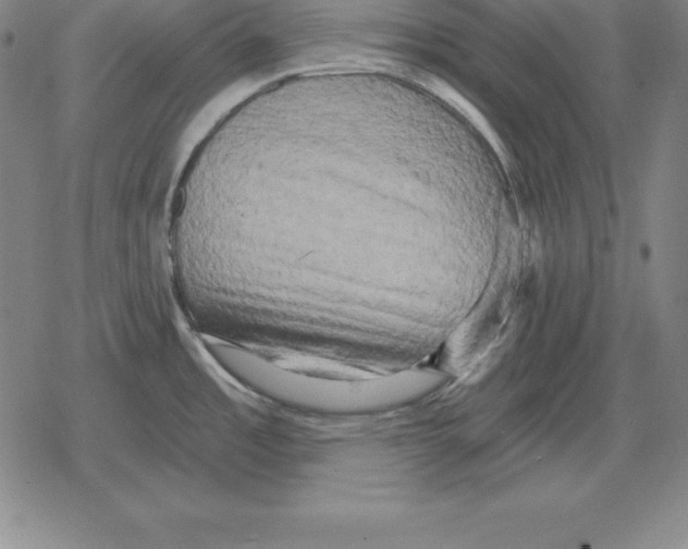 X0000079331485200612151830