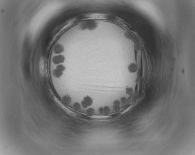 X0000079331487200612151830