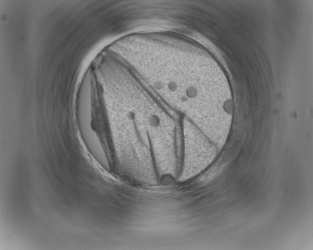 X0000079331488200612151830