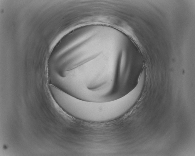 X0000079331524200612151829