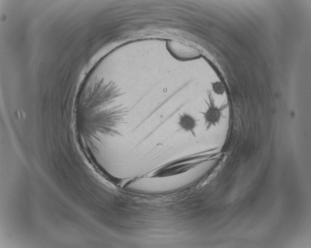 X0000079331525200612151829