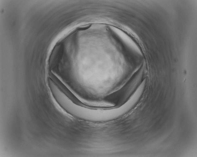 X0000079331528200612151829