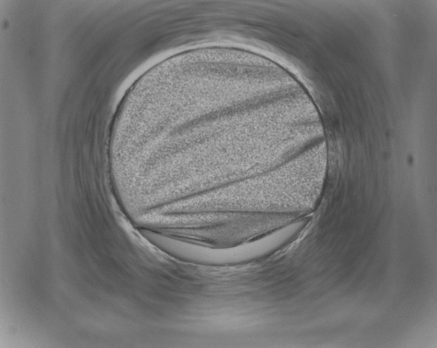 X0000079331534200612151830