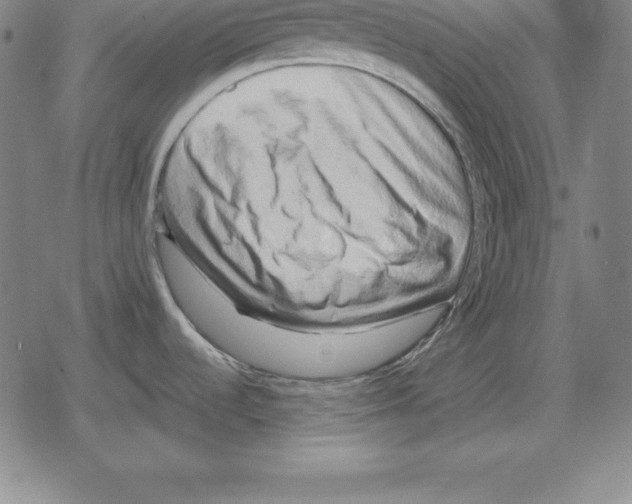 X0000079331536200612151830