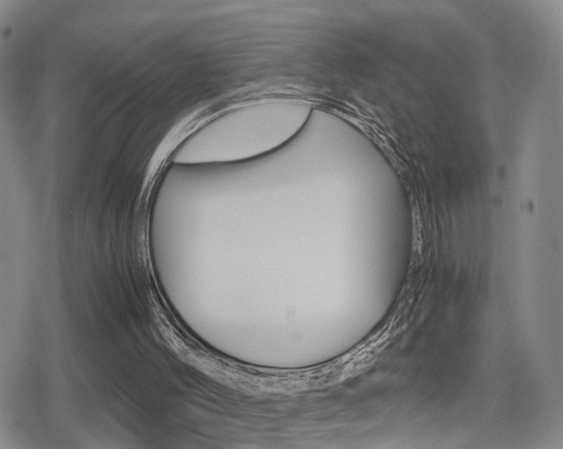 X0000079340004200611170943