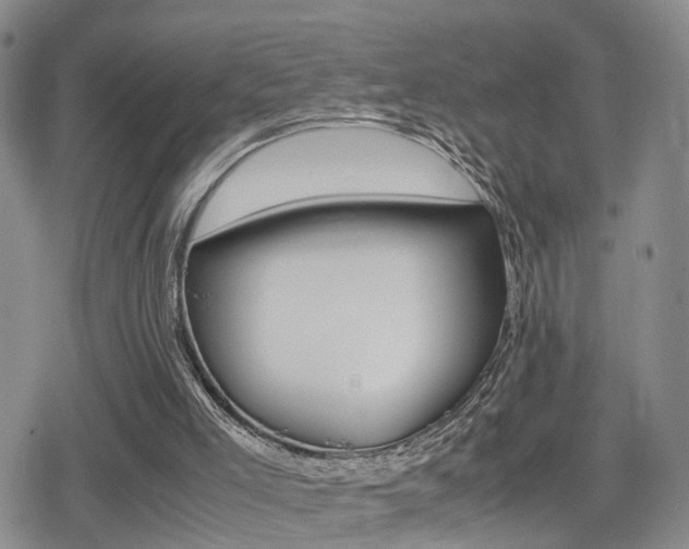 X0000079340005200611170943