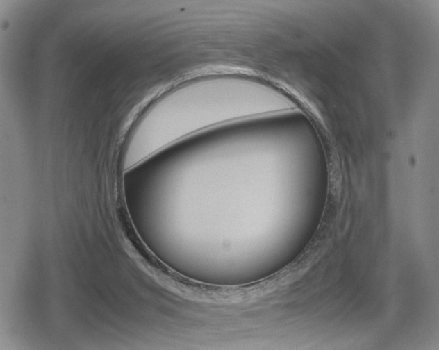 X0000079340015200611170943