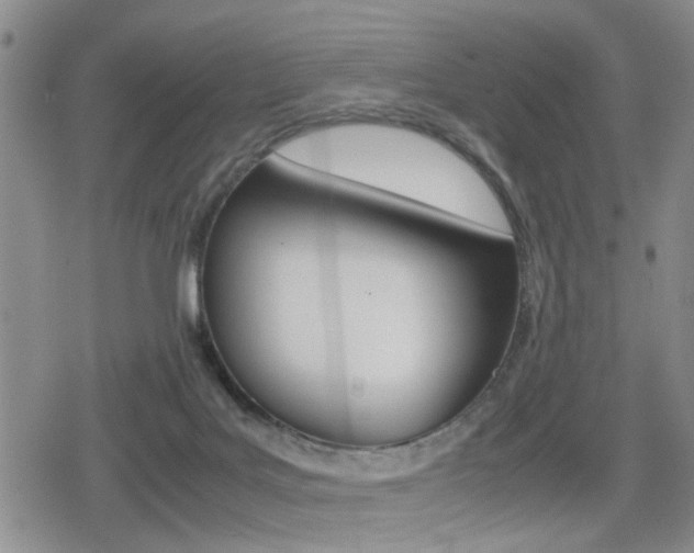 X0000079340027200611170942