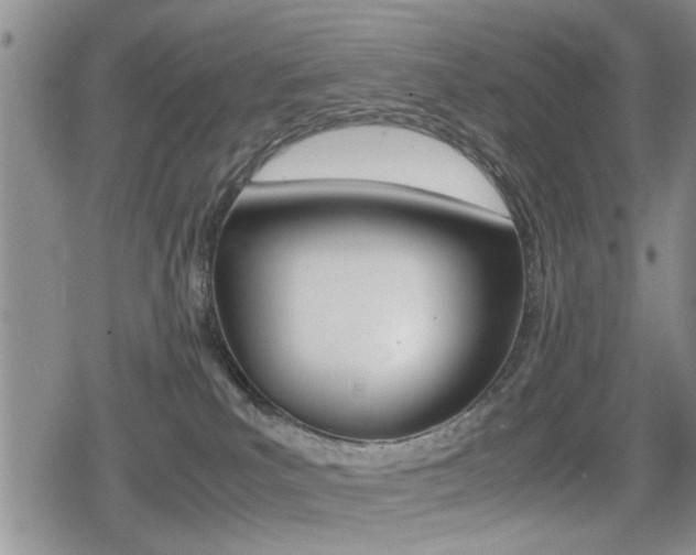 X0000079340039200611170942