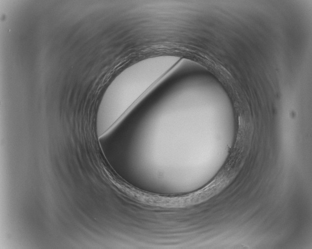 X0000079340048200611170942