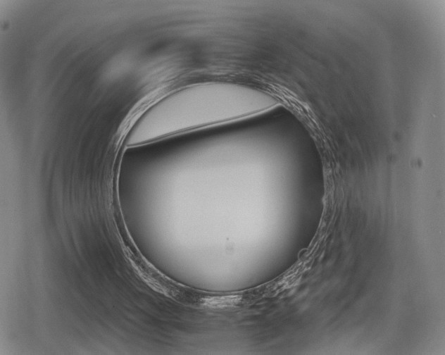 X0000079340051200611170941