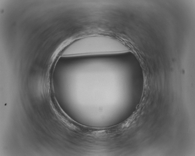 X0000079340054200611170941