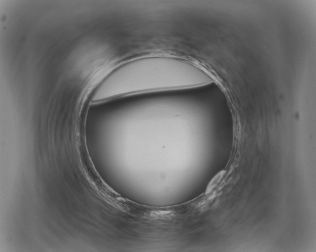 X0000079340055200611170941