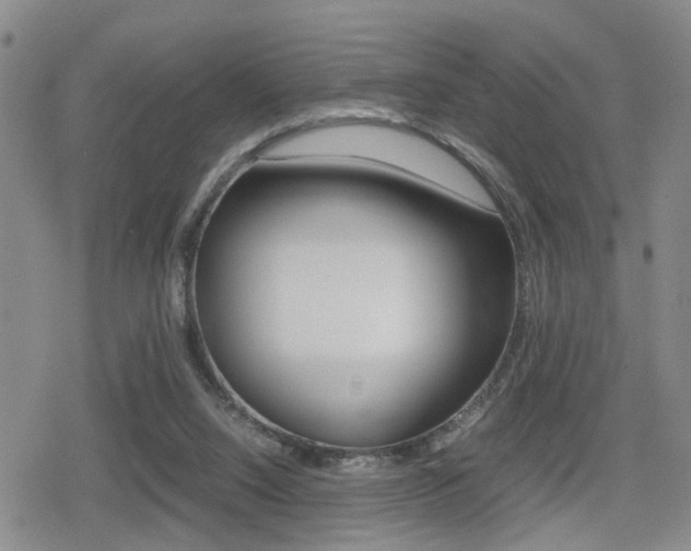 X0000079340064200611170942