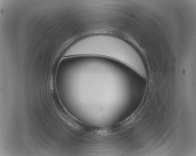 X0000079340068200611170942