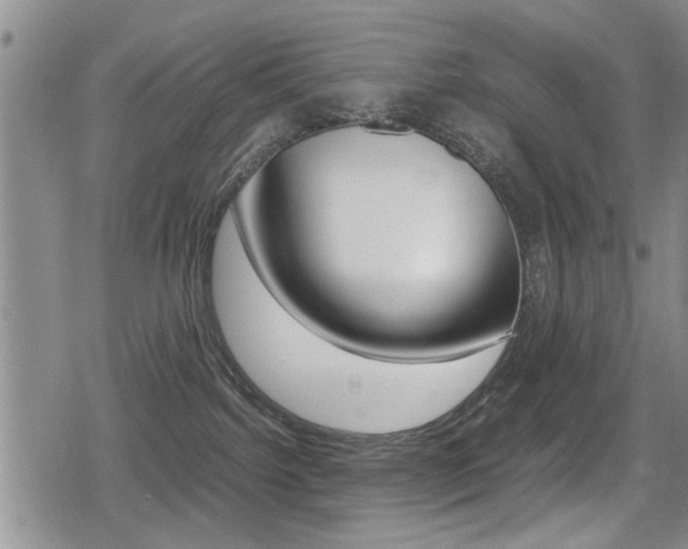 X0000079340092200611170942