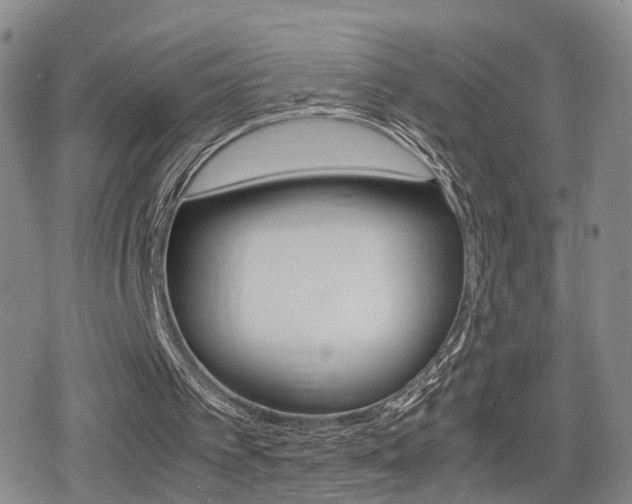 X0000079340097200611170941