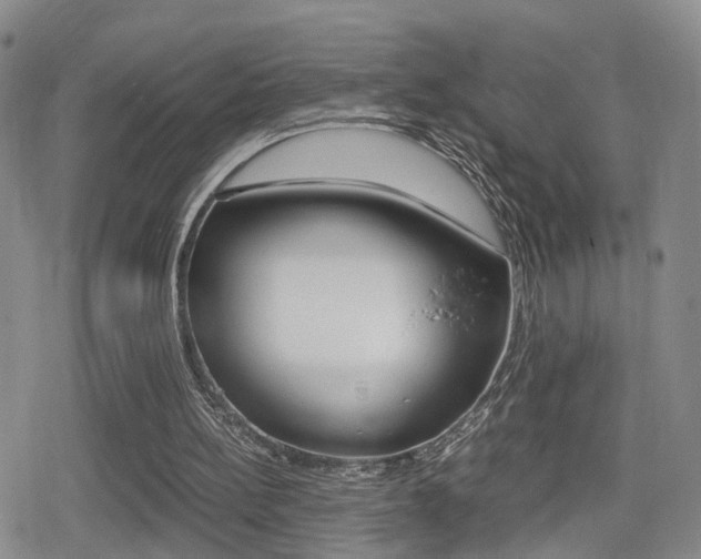 X0000079340148200611170940