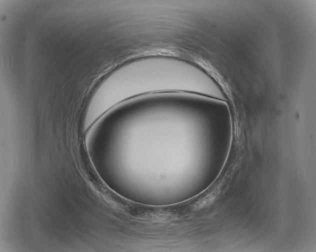 X0000079340201200611170940